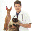 Dr. Kevin P. Shura, DVM